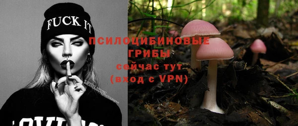 2c-b Михайловск