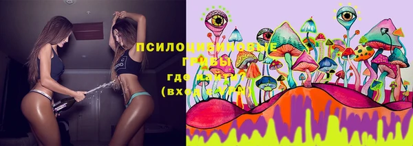 2c-b Михайловск