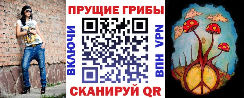 Галлюциногенные грибы Psilocybine cubensis  Муравленко 