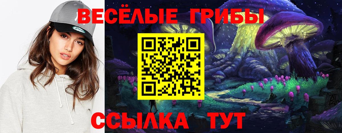 Муравленко  Галлюциногенные грибы MAGIC MUSHROOMS  Псилоцибиновые грибы Psilocybe  Вход с VPN 
